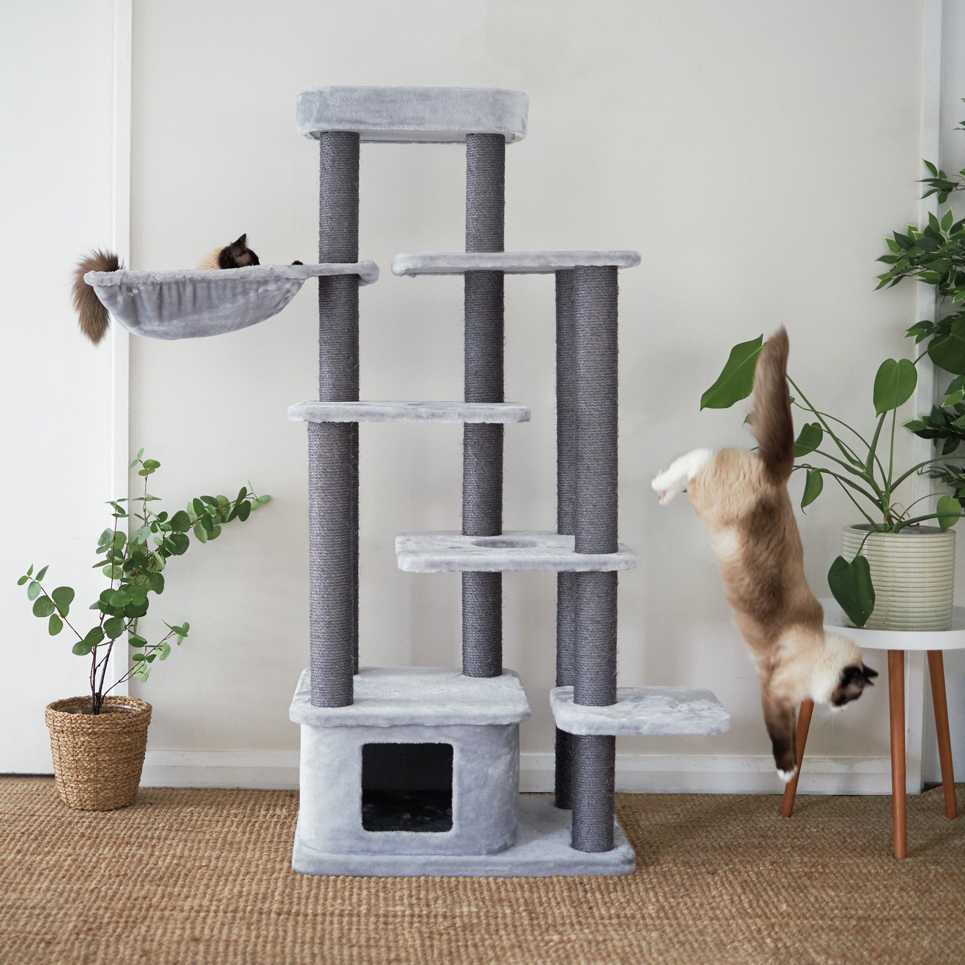 Platform cat tree sale