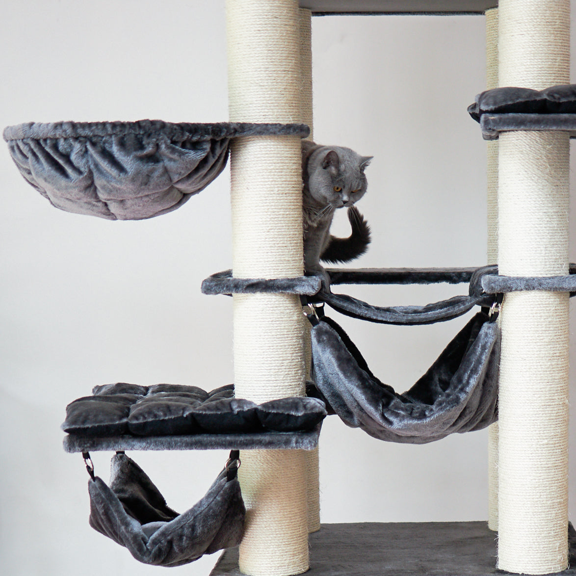 Kitty towers cheap clearance
