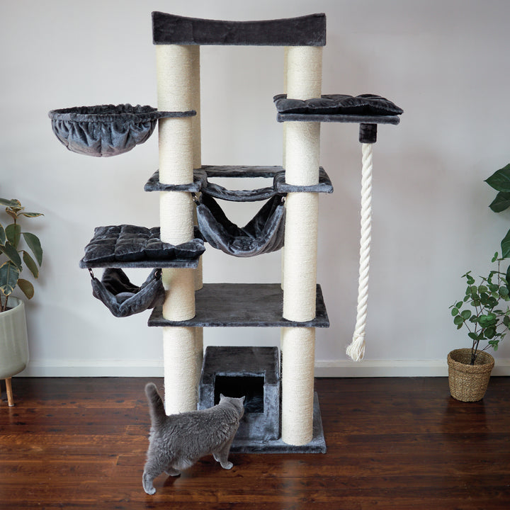 Kitty Tower Playground