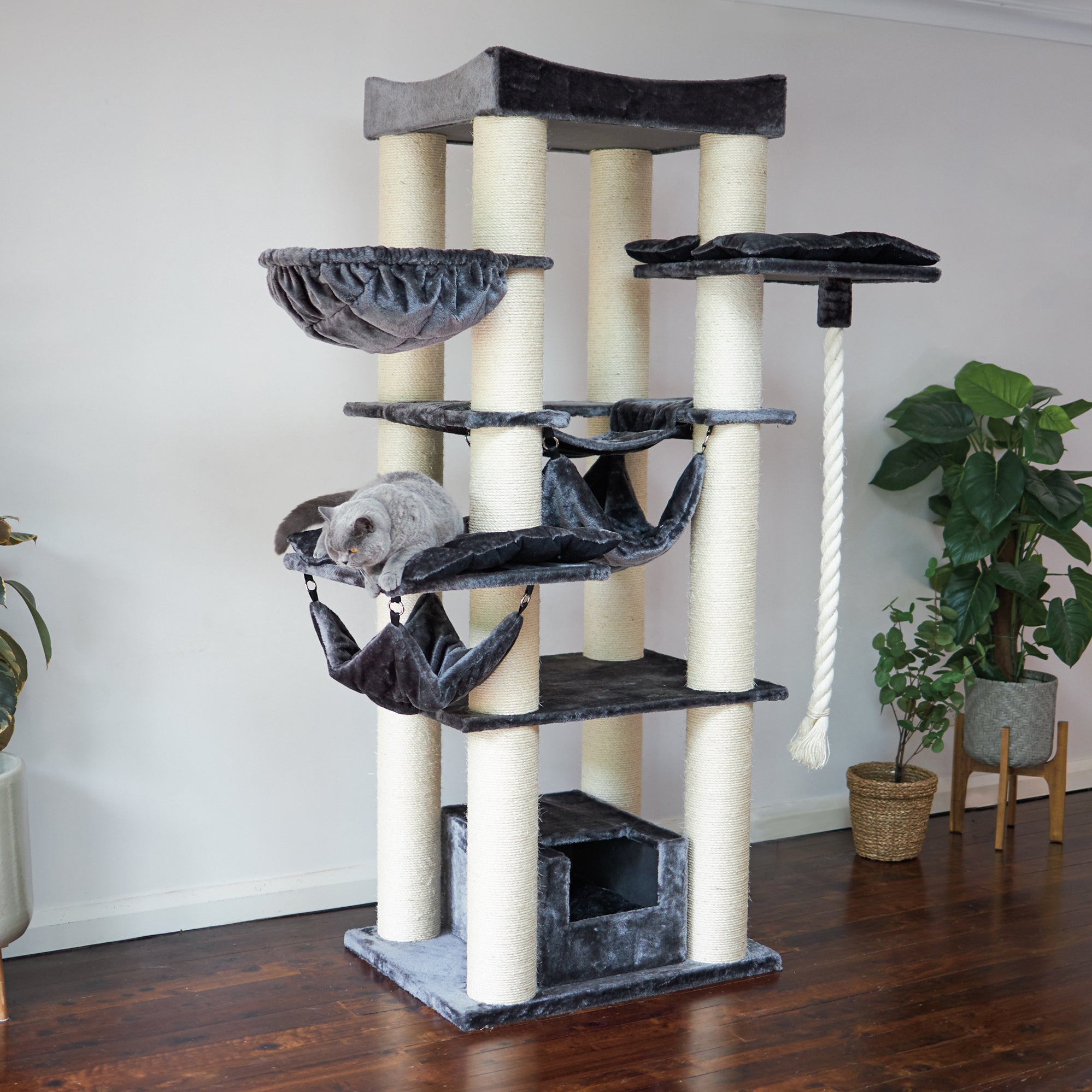 Kitty Tower Playground Kazoo Pet Co