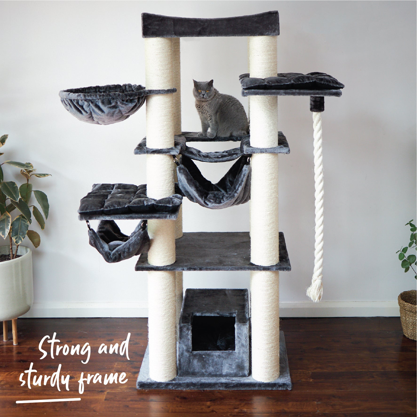 Kitty sales cat tree