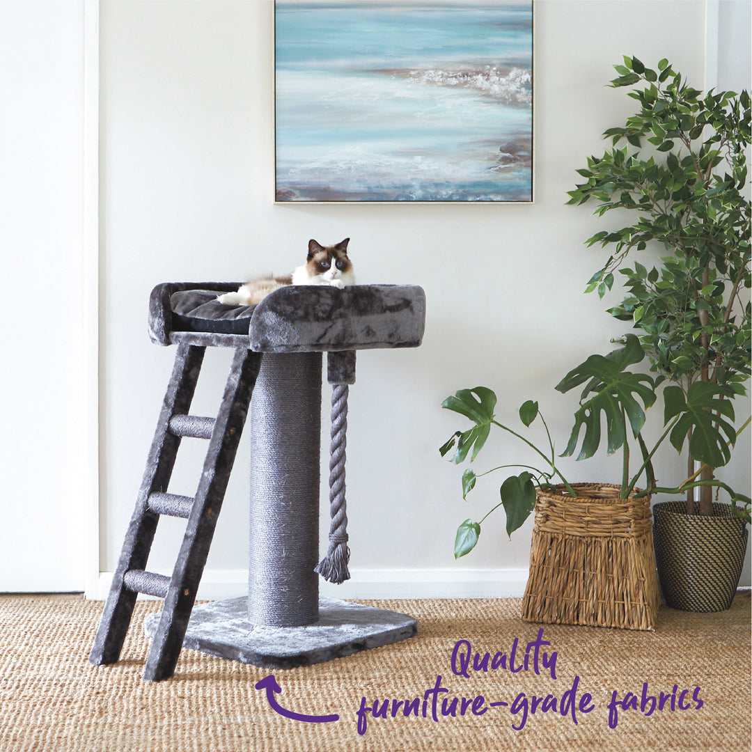 High Bed Cat Scratch Post with Ladder - Charcoal