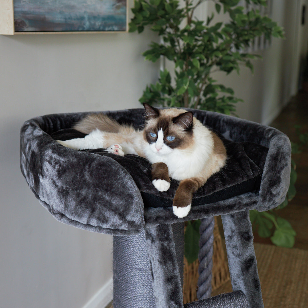 High Bed Cat Scratch Post with Ladder - Charcoal