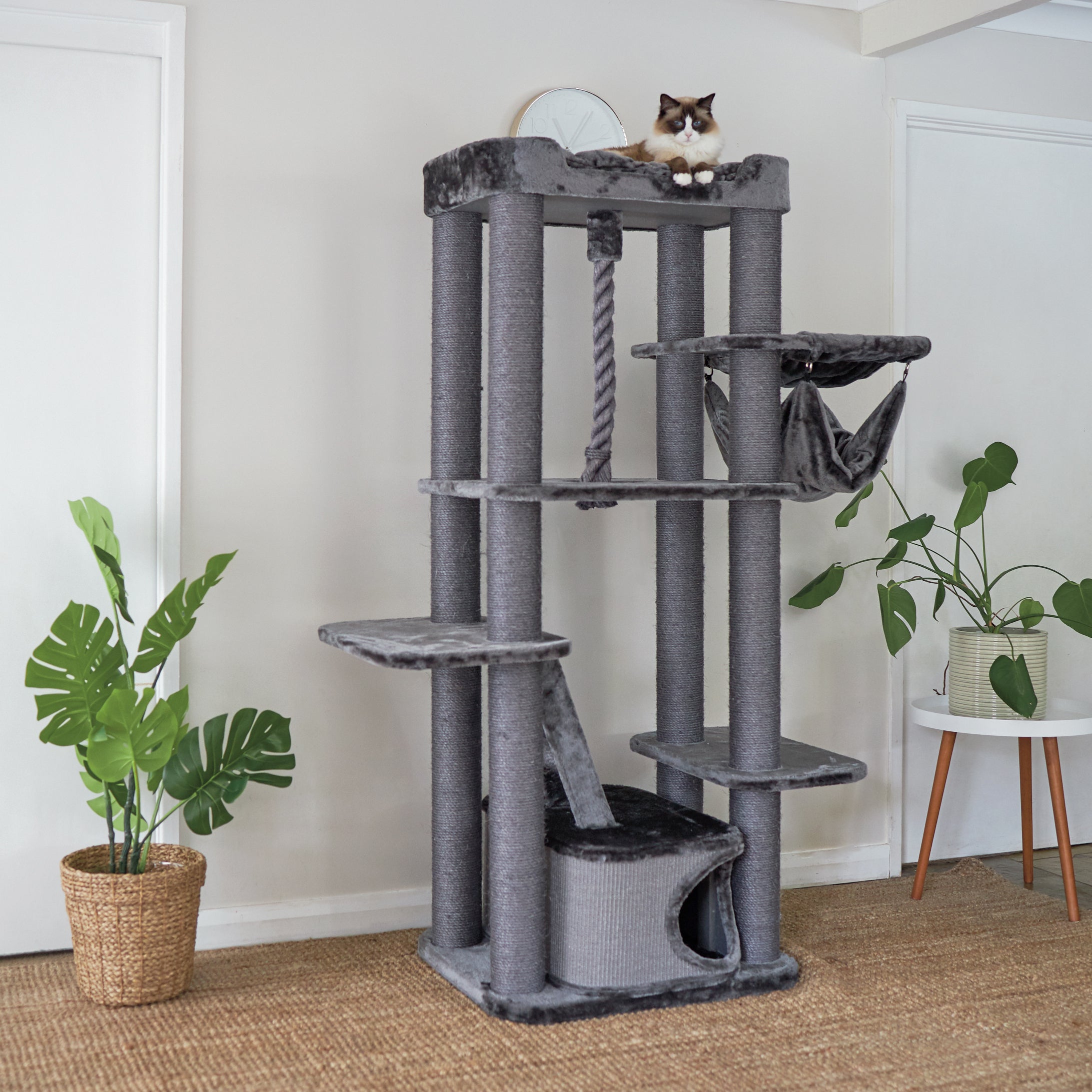 Cat Trees Towers Playgrounds Cat furniture that s up to scratch Kazoo Pet Co