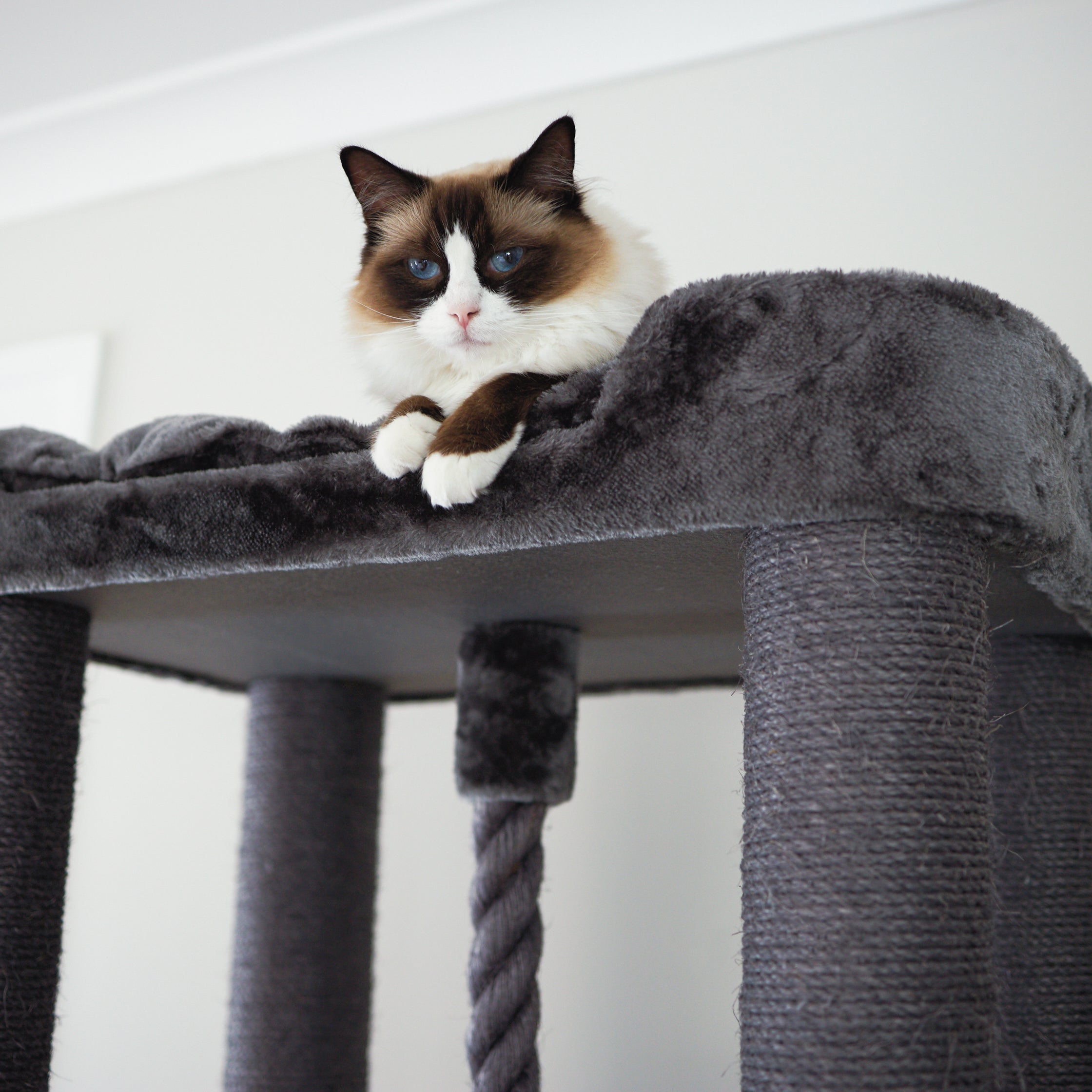 Kitty Climb Playground Charcoal Kazoo Pet Co