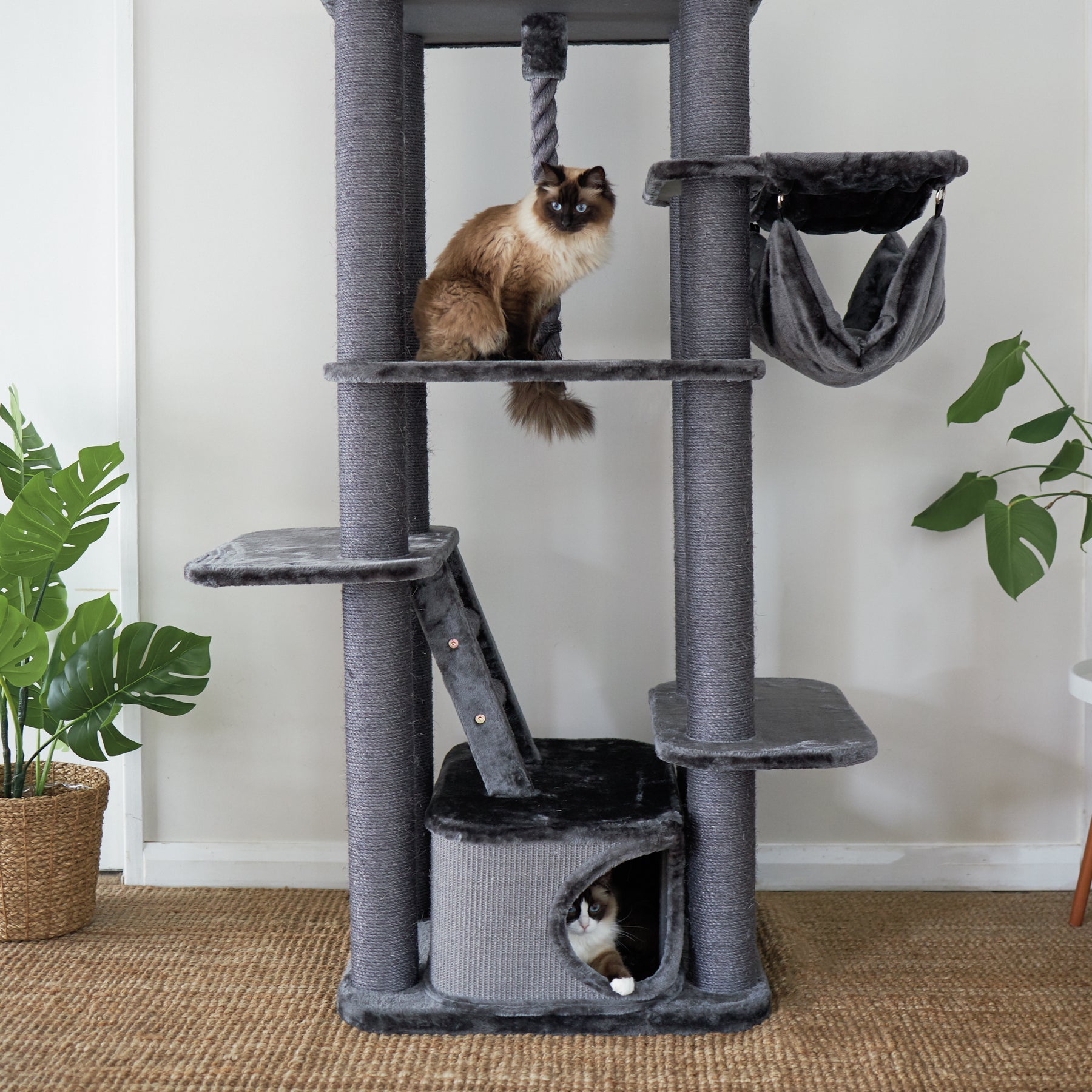 Kitty Climb Playground Charcoal Kazoo Pet Co