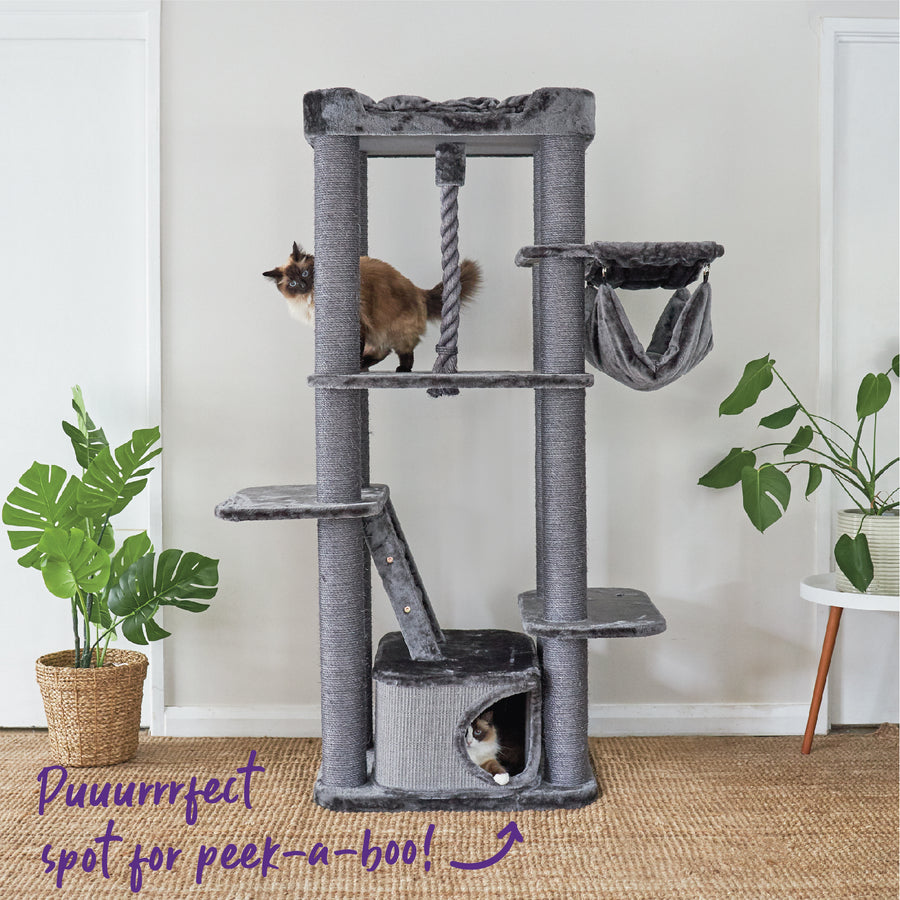 Kitty Climb Playground Charcoal Kazoo Pet Co