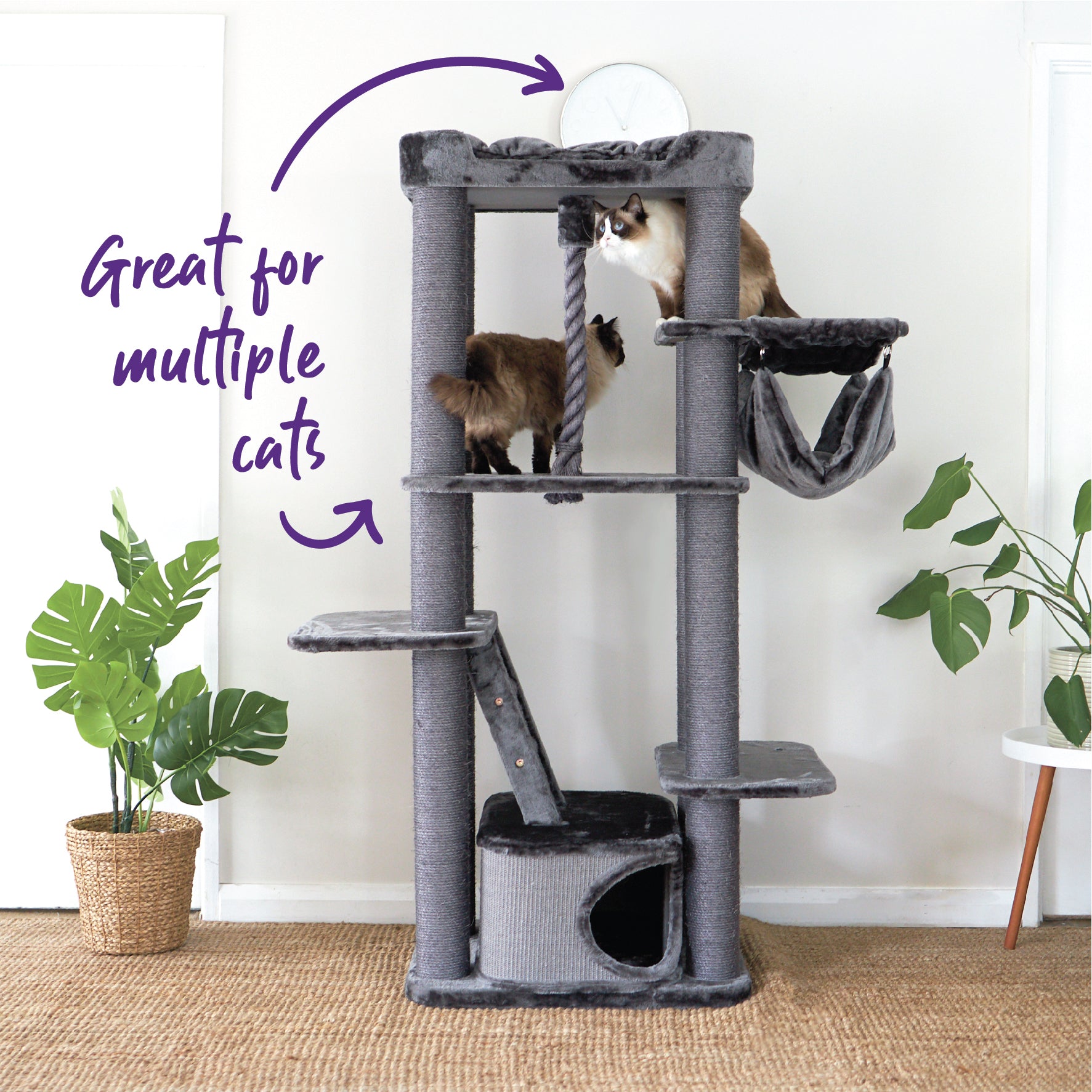 Kitty Climb Playground Charcoal Kazoo Pet Co