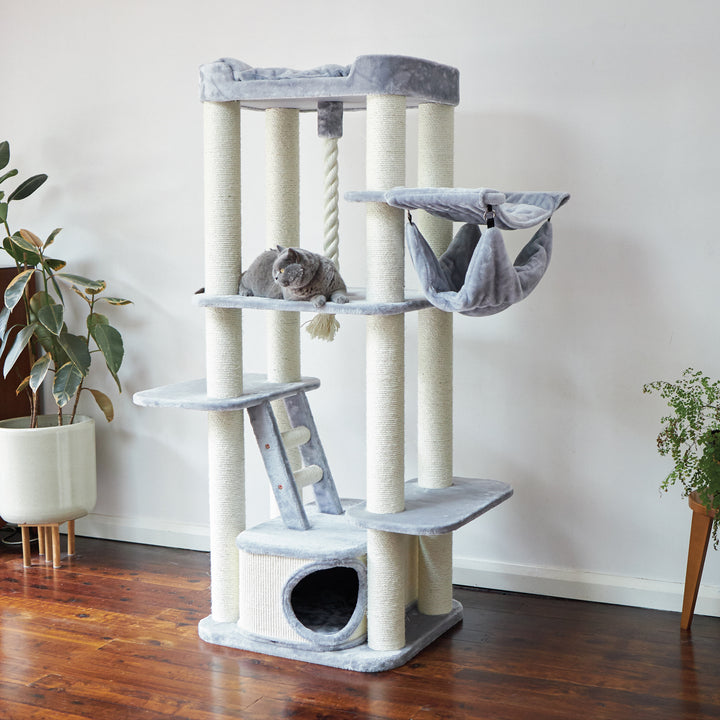 Cat Trees & Playgrounds Cat furniture that’s up to scratch Kazoo Pet Co