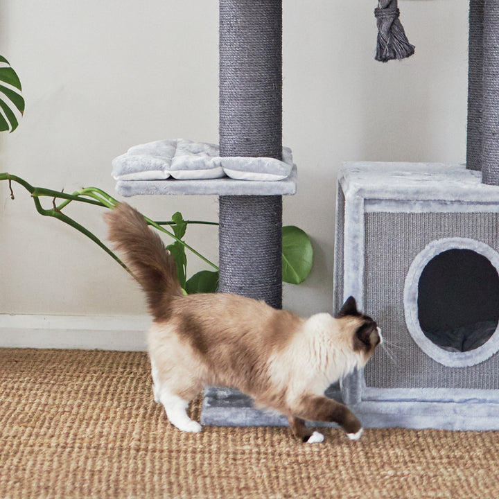 Cat Trees & Playgrounds Cat furniture that’s up to scratch Kazoo Pet Co