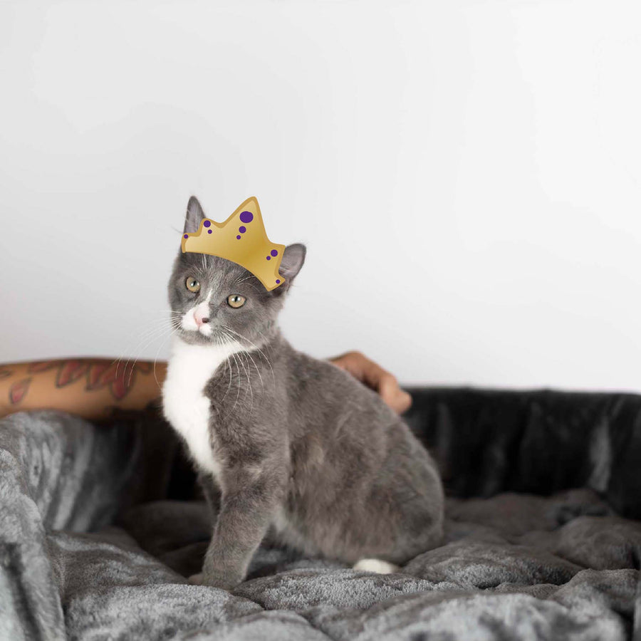 Kitty Scratch & Sleep Post Charcoal Kazoo Pet Co