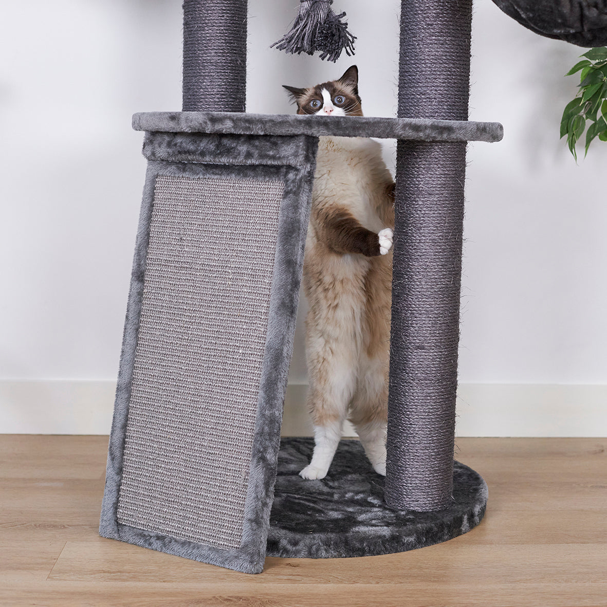 Petstock top scratching post