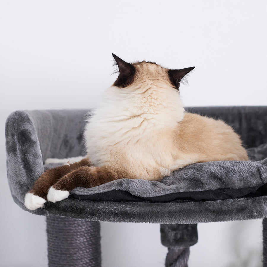 Kitty Scratch & Sleep Post Charcoal Kazoo Pet Co