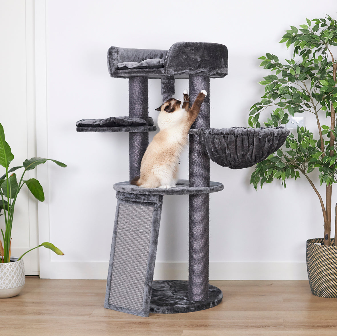 Kazoo cat hot sale scratcher