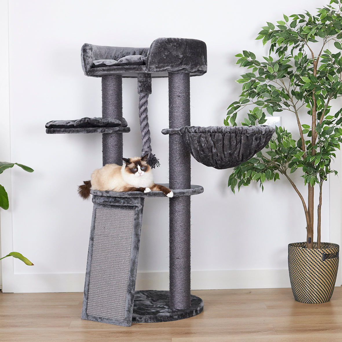 Kitty Scratch & Sleep Post - Charcoal – Kazoo Pet Co