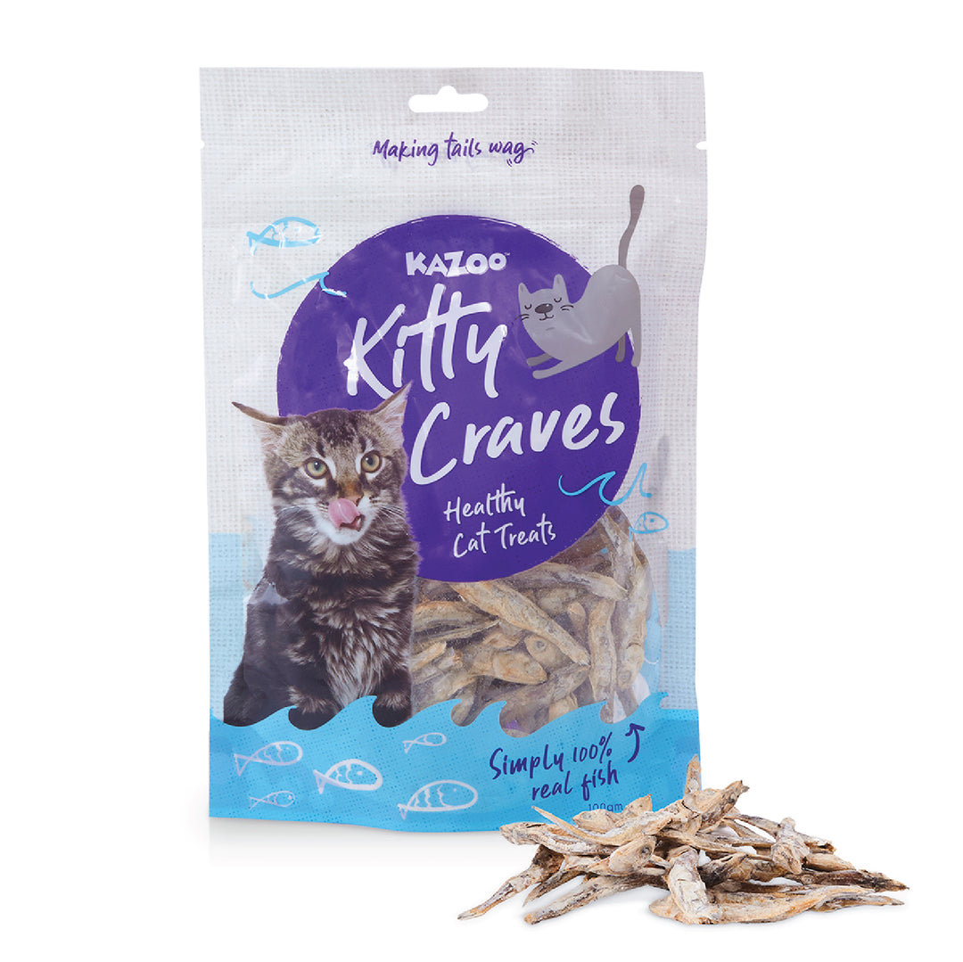 Kitty Craves