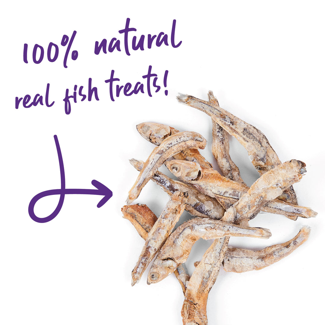 Christmas Kitty Craves Anchovies - 100gm