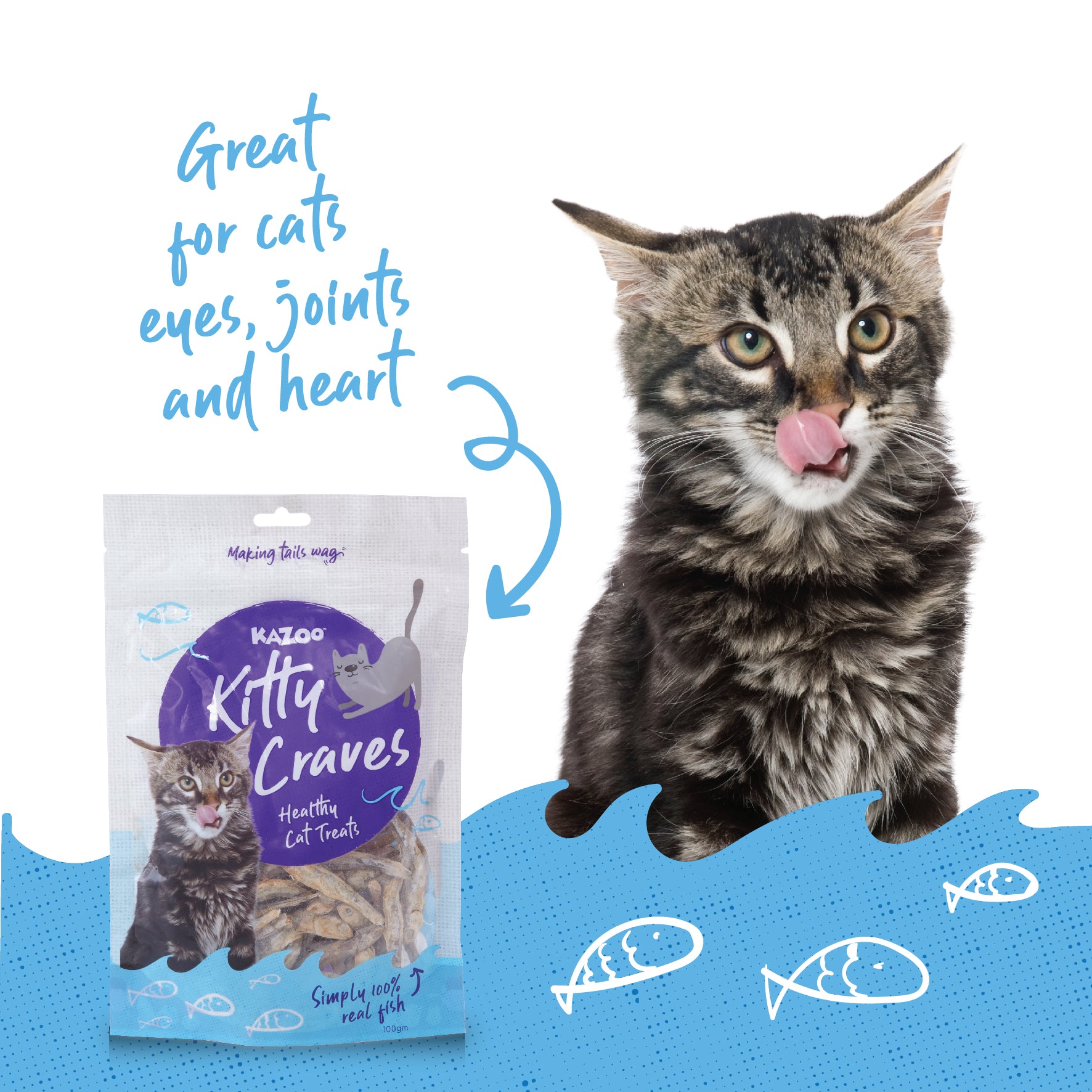 Kitty Craves Kazoo Pet Co