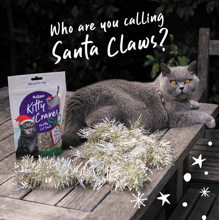 Christmas Kitty Craves Anchovies - 100gm