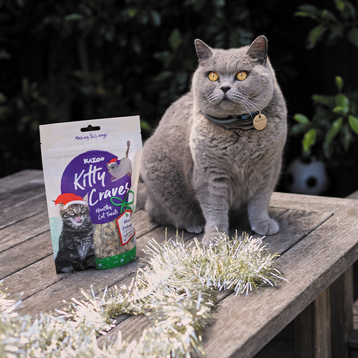 Christmas Kitty Craves Anchovies - 100gm