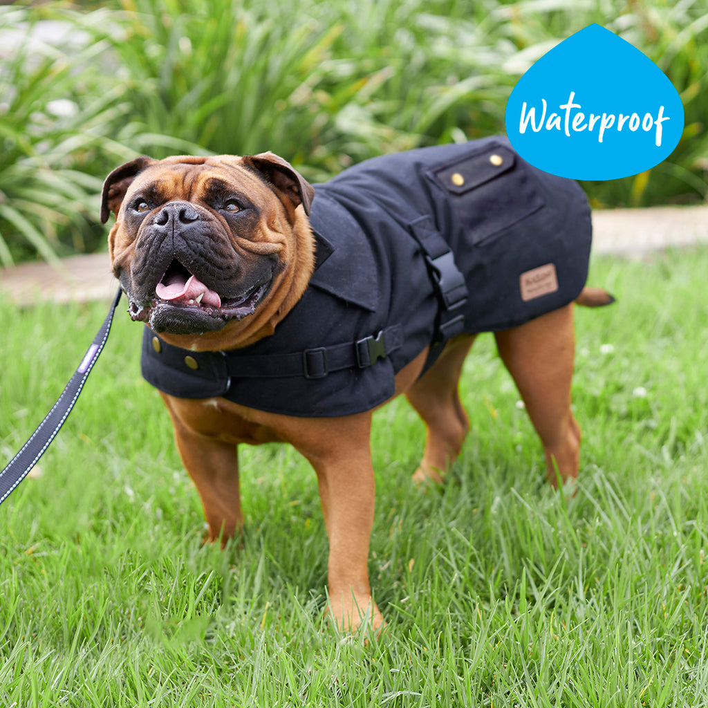 Aussie Oilskin Dog Coat Black Kazoo Pet Co