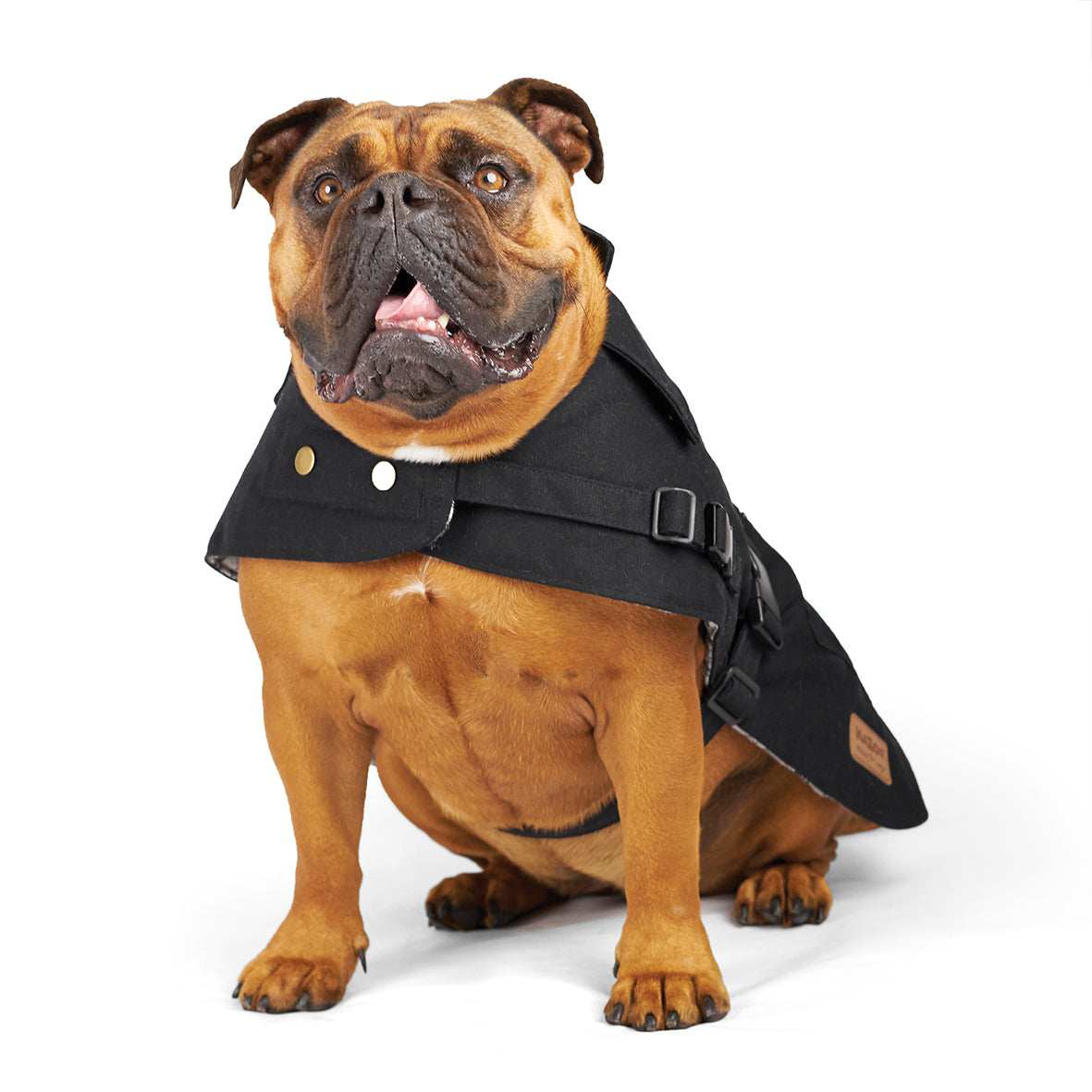 Aussie Oilskin Dog Coat Black Kazoo Pet Co