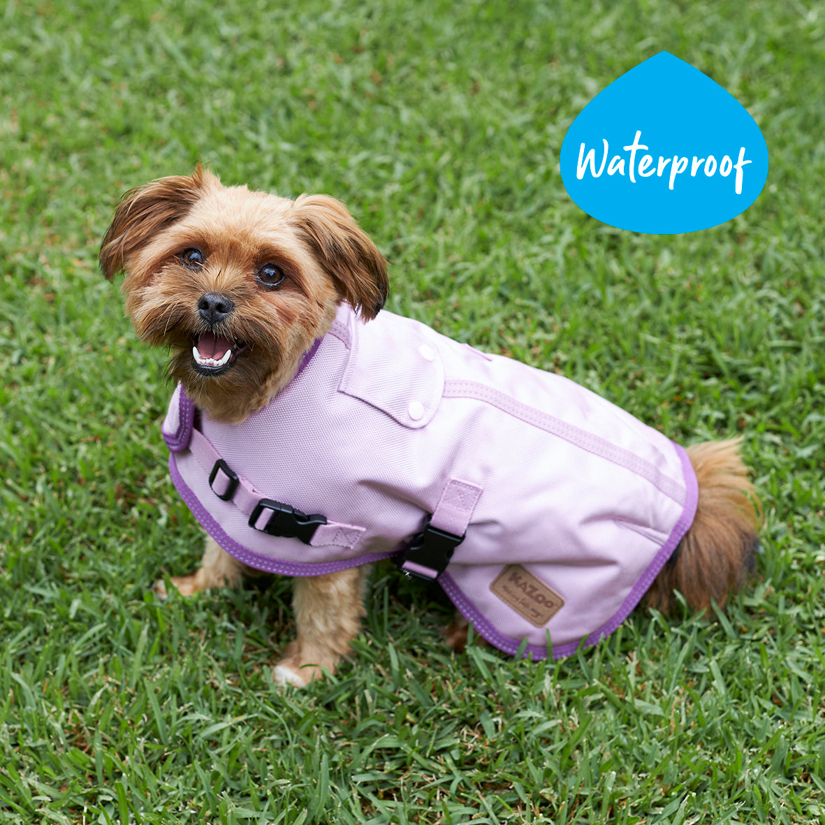Dog coats hot sale and jumpers