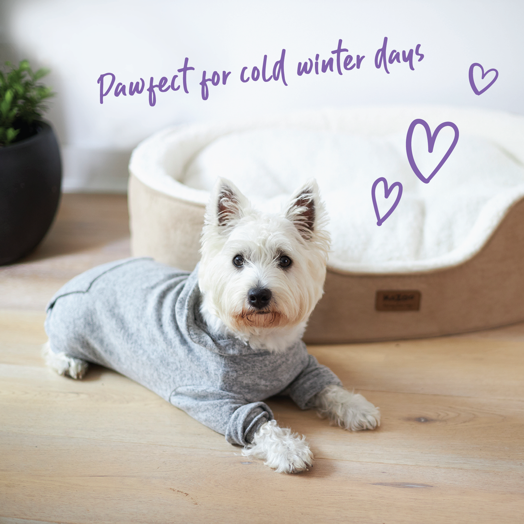 West highland terrier 2024 pyjamas