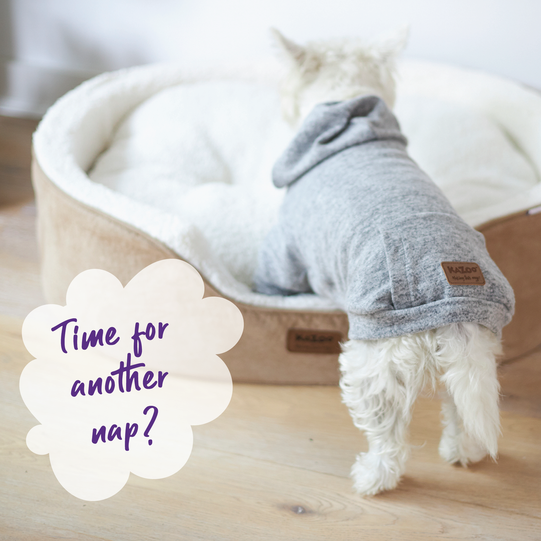 Sleepwear Softie Dog Pyjamas - Grey