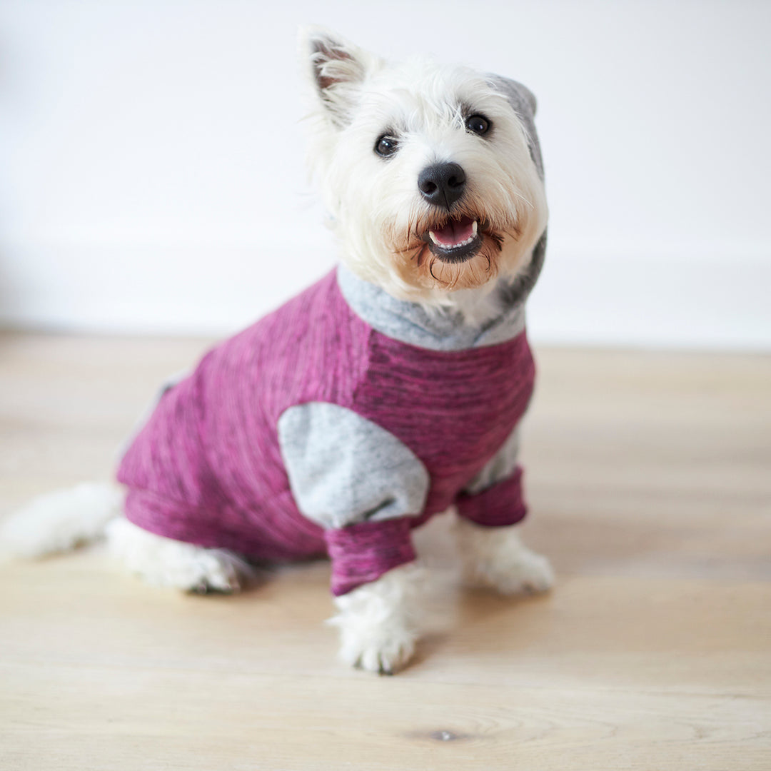 Sleepwear Softie Dog Pyjamas - Blossom