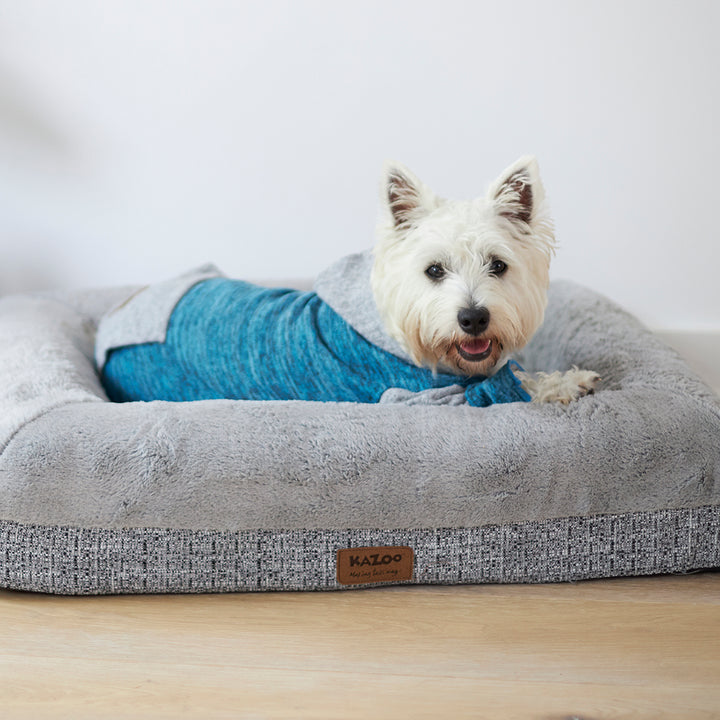 Sleepwear Softie Dog Pyjamas - Seaside