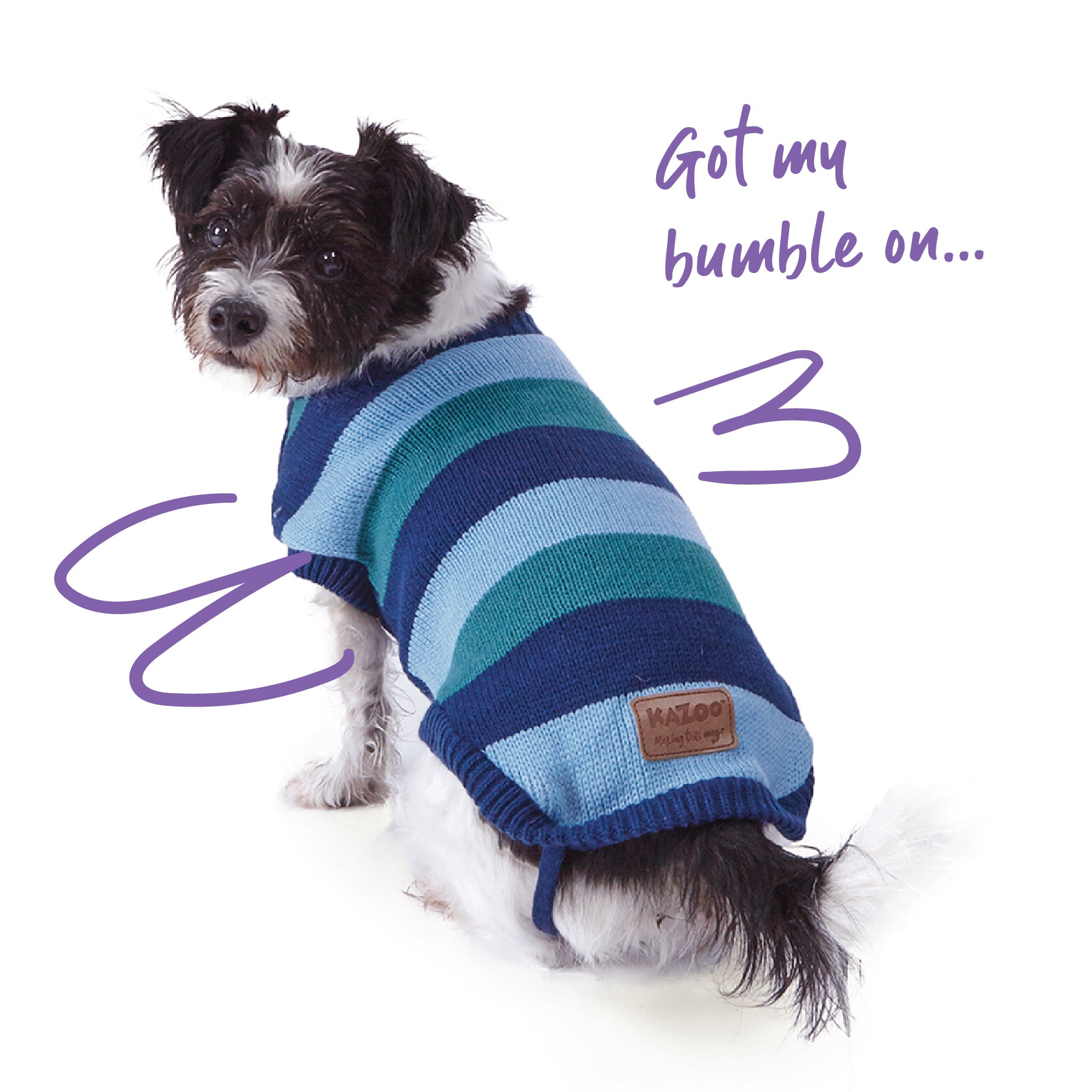 Staffy jumpers hotsell