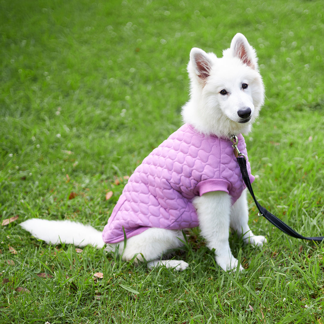 Pink Petal Dog Jacket – Kazoo Pet Co - Main Image