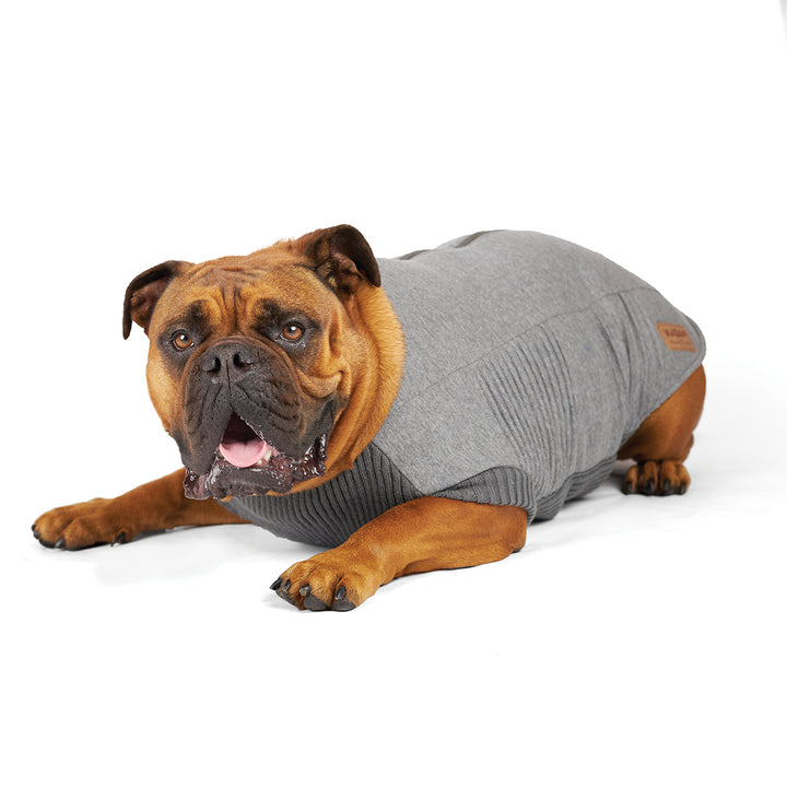 Armadillo Dog Jacket