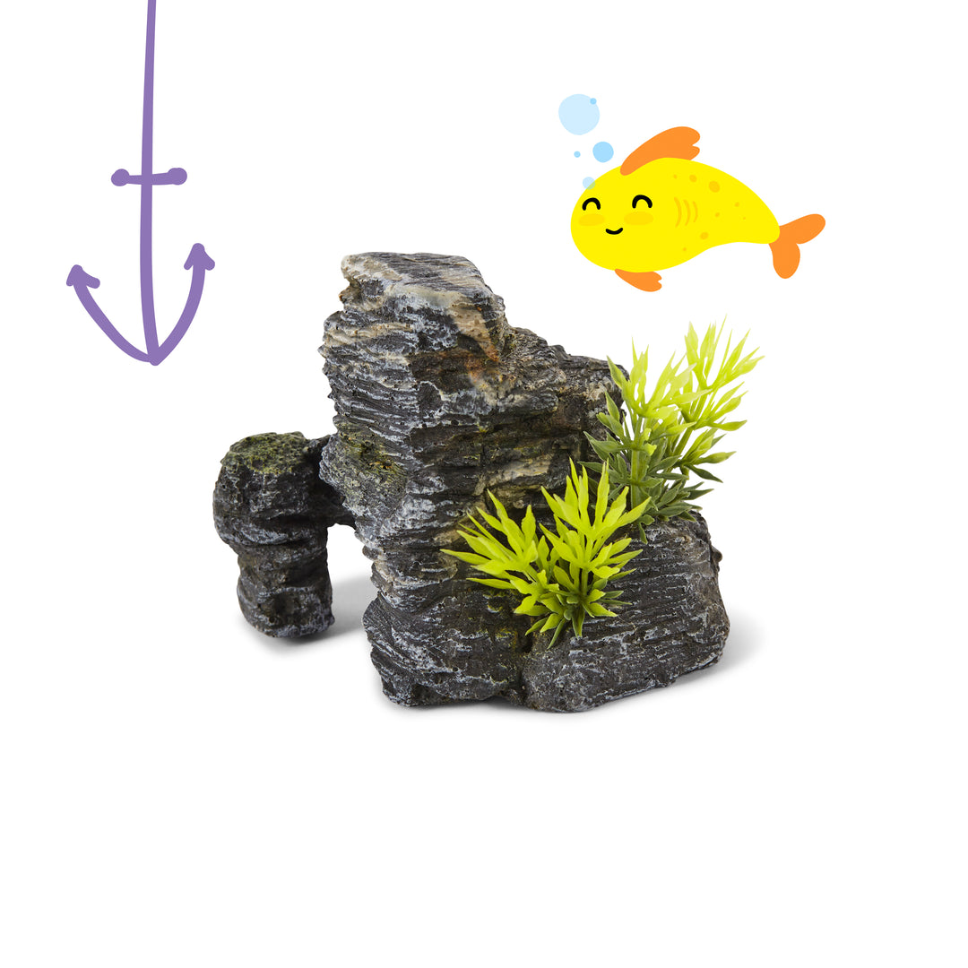 Granite Rock with Plants