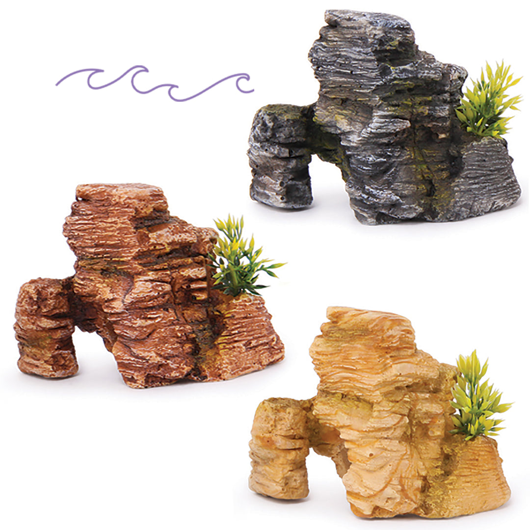 Mineral Rocks With Plants