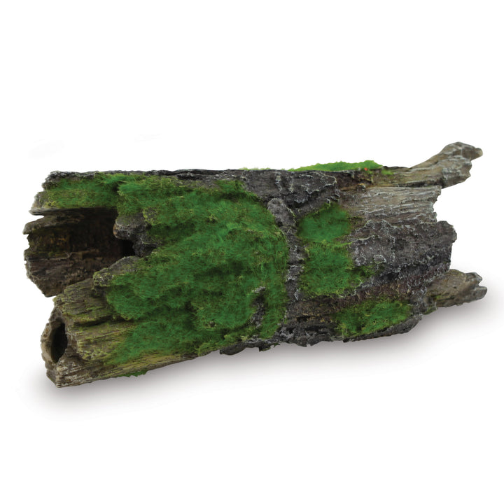 Driftwood With Textured Moss