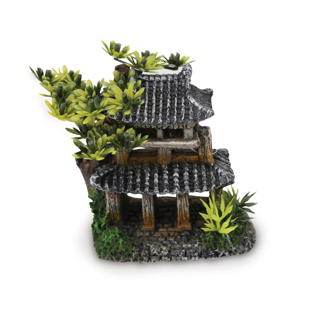 Korean Temple With Plants