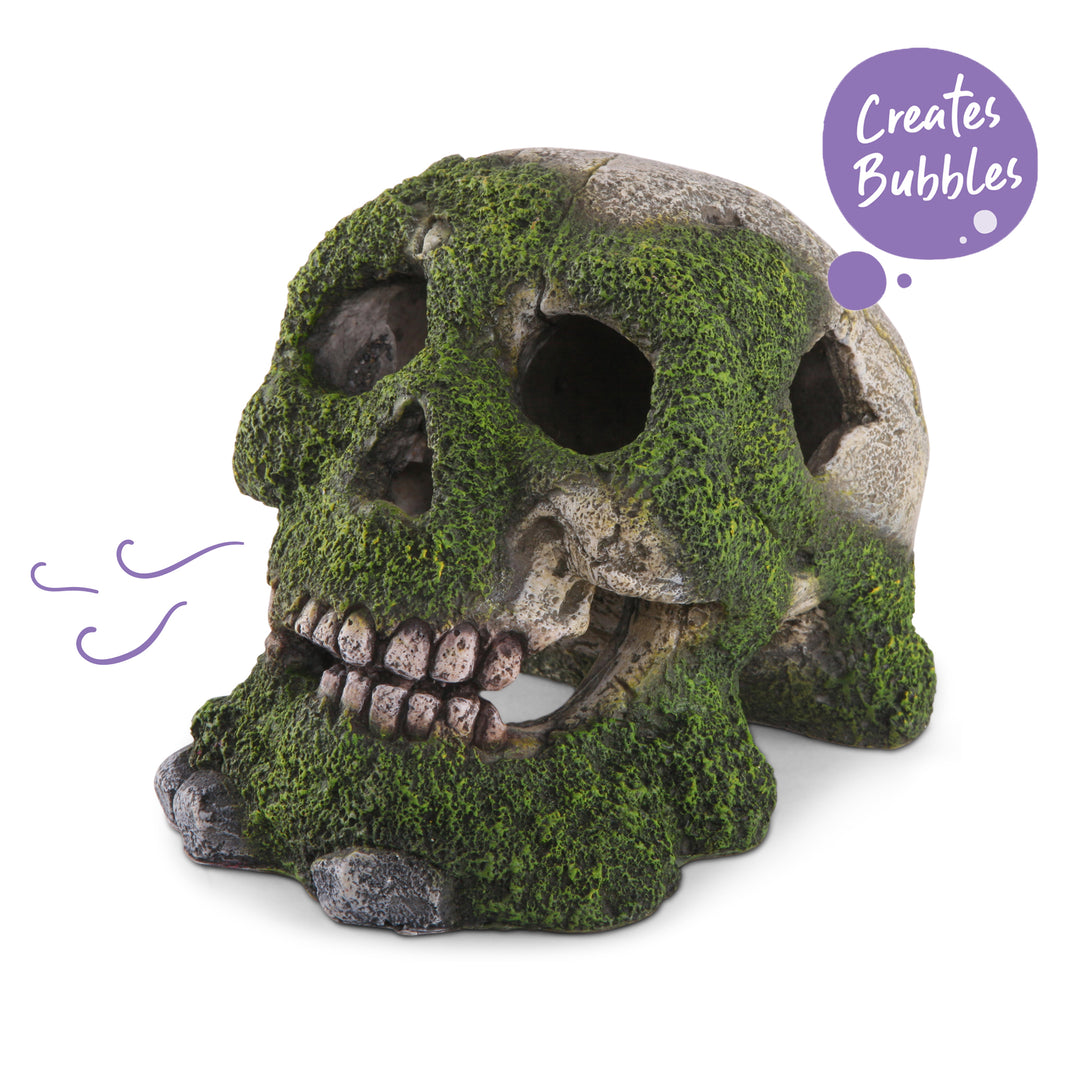 Bubbling Skull With Moss