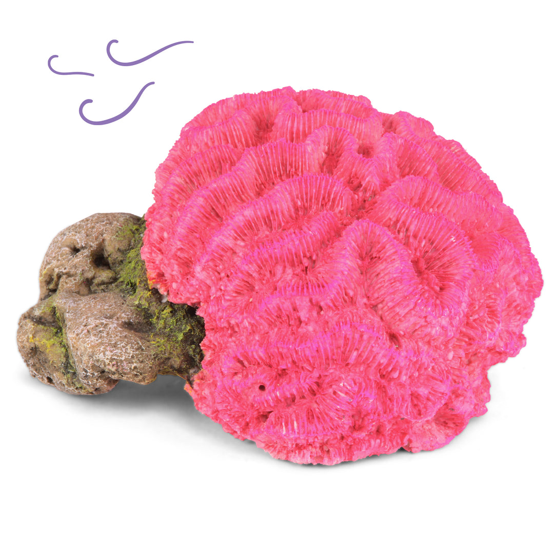 Fluro Brain Coral Pink