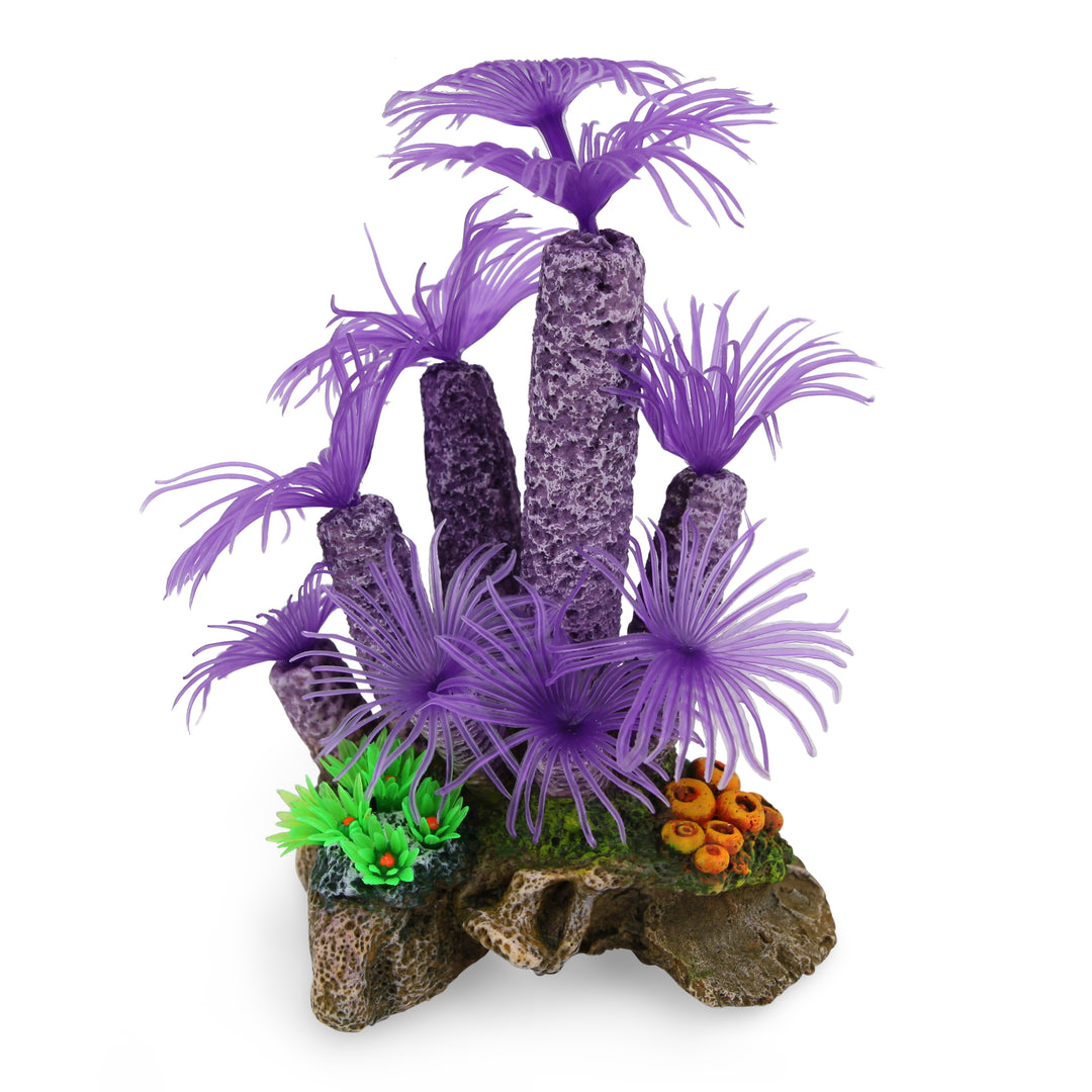 Purple Tunicate Coral With Plants