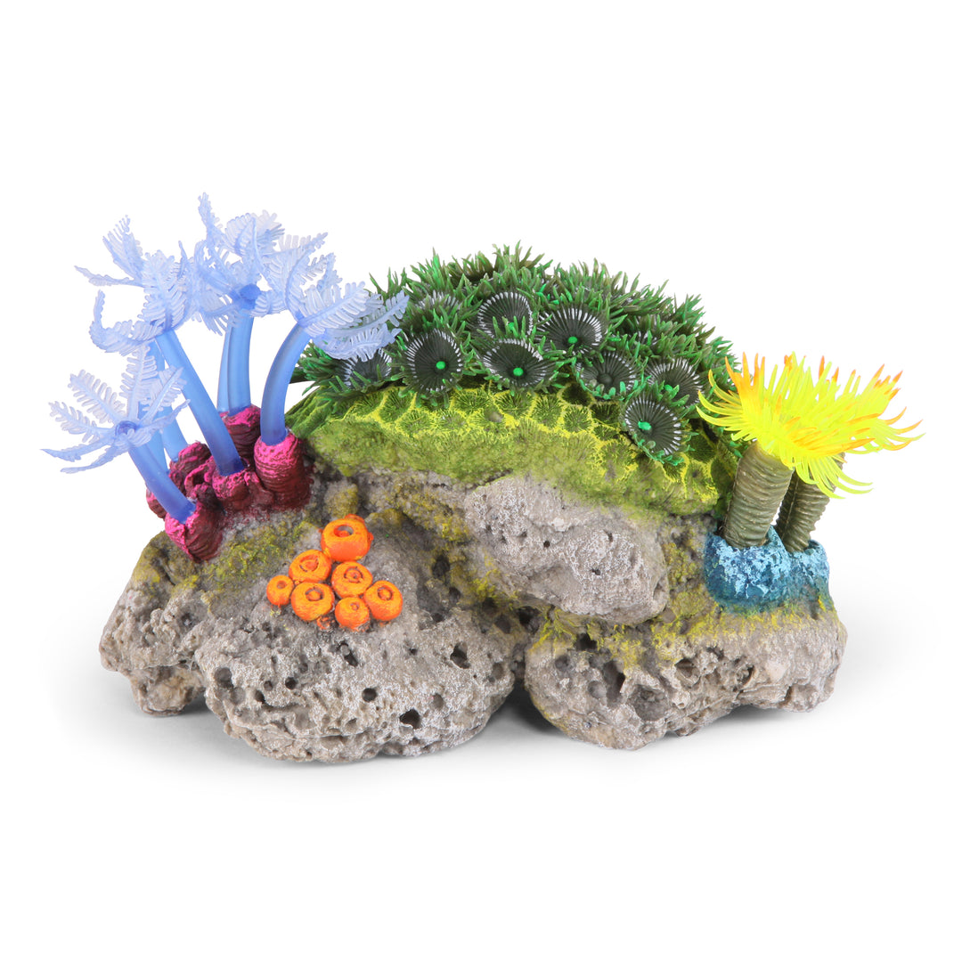 Soft Coral Stone With Plants