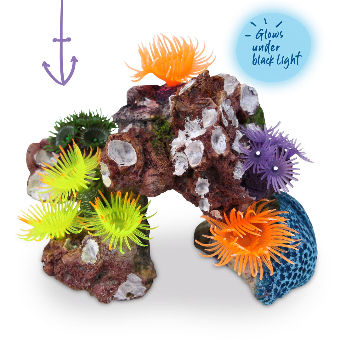 Soft Coral Hideout With Shells & Plants