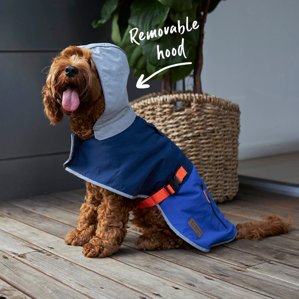 Cosy Dog Rain Coat Blue Zest – Kazoo Pet Co - Main Image