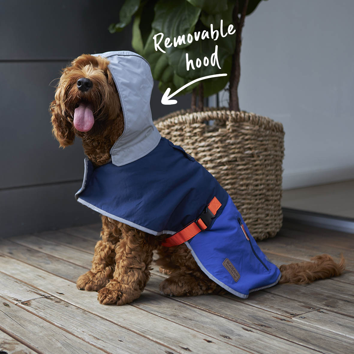 Pets at home dog sales raincoat