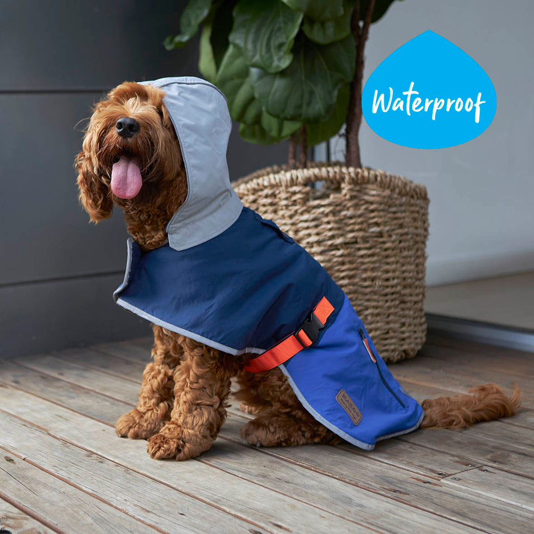 Cosy Dog Rain Coat Blue Zest – Kazoo Pet Co