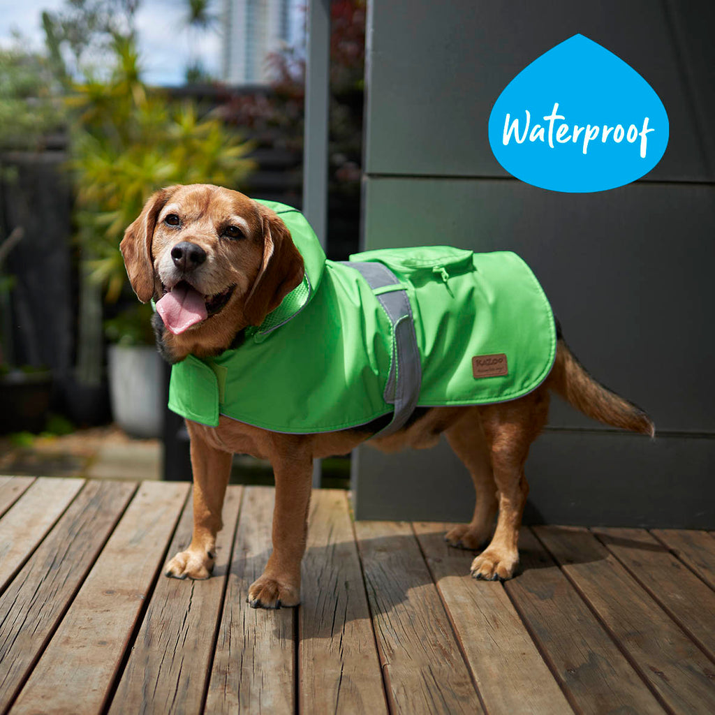 Rainy Days Dog Raincoat Neon Green Kazoo Pet Co