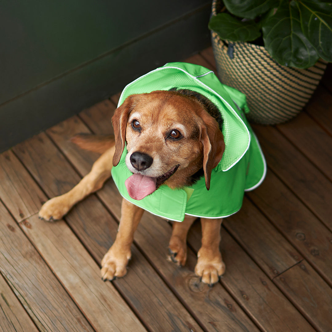 Rainy Days Dog Raincoat - Neon Green