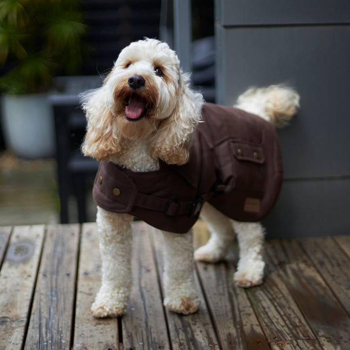 Aussie Oilskin Dog Coat - Brown
