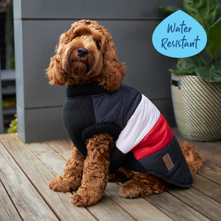 Vovo Dog Puffer Jacket Pink Kiss – Kazoo Pet Co - Main Image